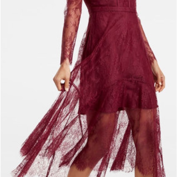 Ever New Arya Chantilly Lace Midi Dress - Picture 7 of 7